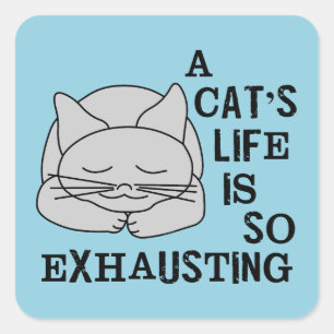 Sticker Carré La vie d'un chat