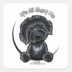 Sticker Carré Labradoodle noir IAAM
