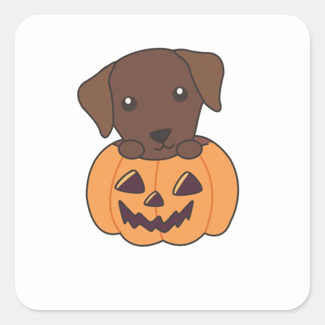 Sticker Carré Labrador En Chiens Citrouilles Cutes Happy Hallowe (Devant)
