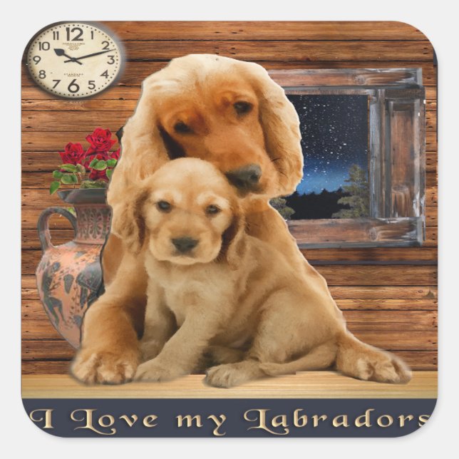 Sticker Carré Labrador Retriever (Devant)
