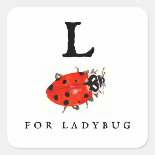 Sticker Carré Ladybug