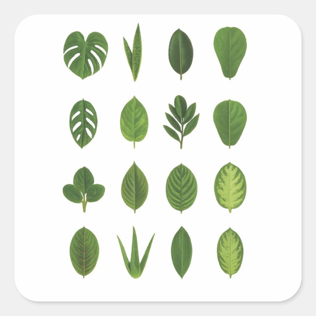 Sticker Carré Laisse-le à la nature (Devant)
