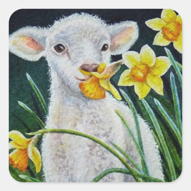 Sticker Carré Lamb bébé et jonquilles de printemps Aquarelle Art (Devant)