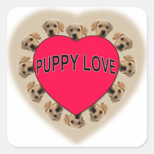 Sticker Carré L'amour des chiots