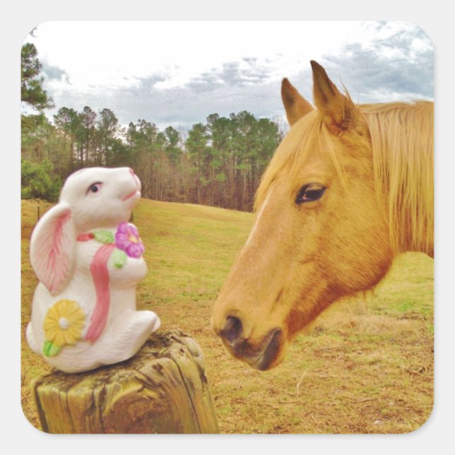 Sticker Carré Lapin blanc et Cheval jaune (Devant)