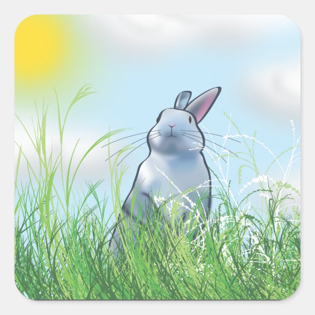 Sticker Carré Lapin dans l'herbe (Devant)