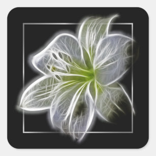 Sticker Carré L'art fractal de lys blanc époustouflant sur fond