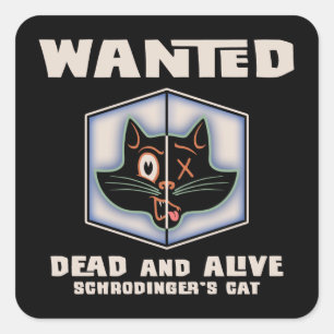 Sticker Carré Le chat de Schrodinger Recherché