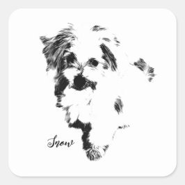 Sticker Carré Le chien maltais le plus mignon jamais