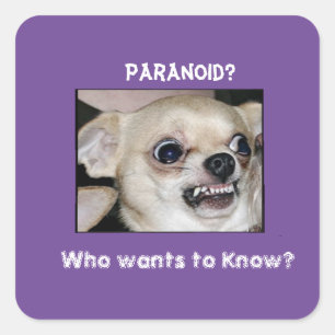 Sticker Carré Le Chihuahua paranoïaque coincé dans l'anxiété des