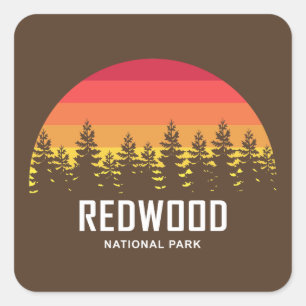 Sticker Carré Le parc national de Redwood