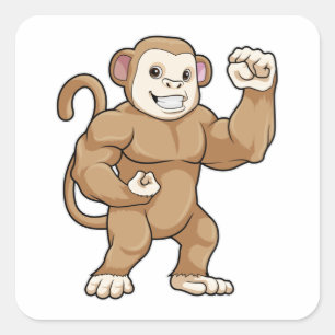 Sticker Carré Le singe comme culturiste au Bodybuilding