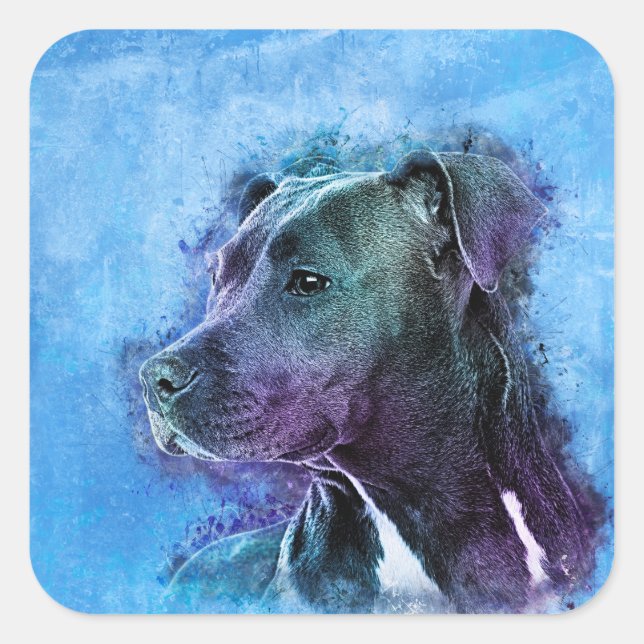 Sticker Carré Le Staffordshire Terrier américain - Amstaff (Devant)