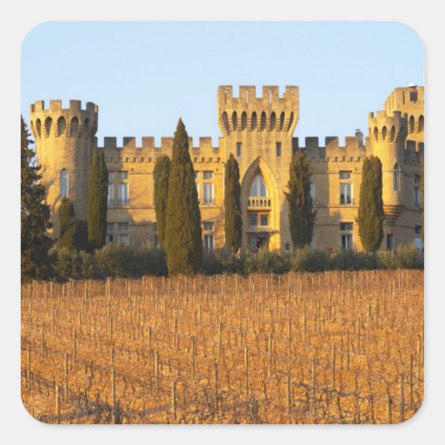 Sticker Carré Le vignoble aux pins sylvestres et le château (Devant)