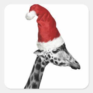 Sticker Carré L'élégance de la girafe de Noël