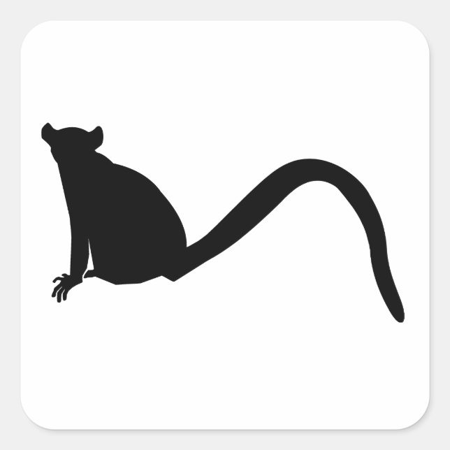 Sticker Carré Lemur Silhouette (Devant)
