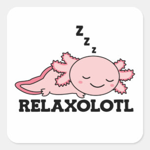 Sticker Carré Les Amateurs De Détente Axolotl, Les Beaux Animaux