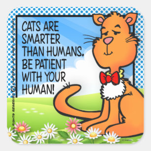 Sticker Carré Les chats sont plus intelligents