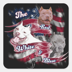 Sticker Carré Les chiens rouges, blancs et bleus de Pitbull
