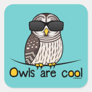 Sticker Carré Les chouettes sont cool
