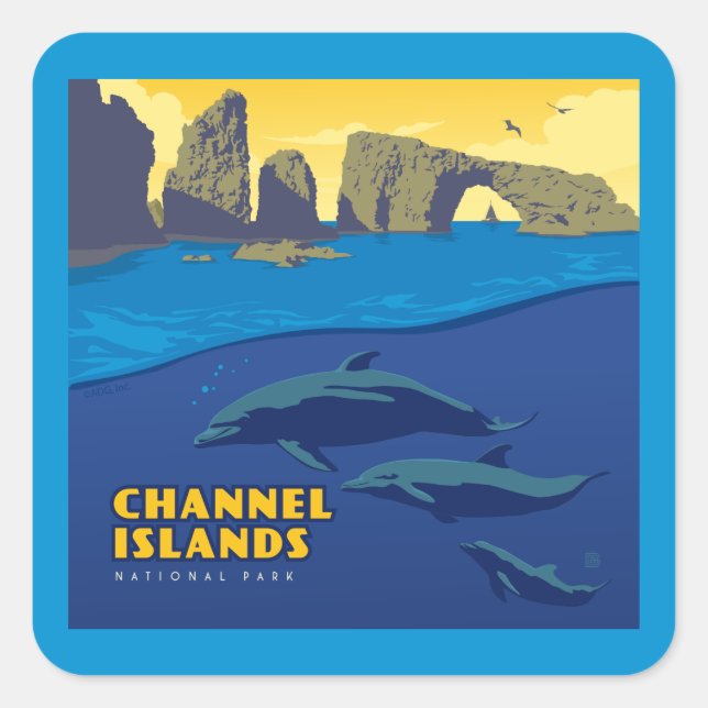 Sticker Carré Les dauphins du parc national des îles Channel (Devant)