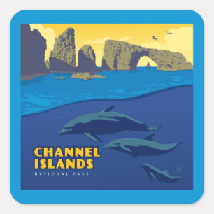 Sticker Carré Les dauphins du parc national des îles Channel