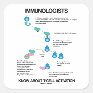 Sticker Carré Les immunologistes connaissent l'activation des ce