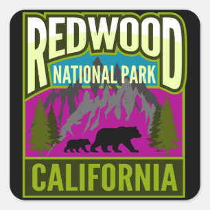 Sticker Carré Les montagnes de la forêt du parc national Redwood