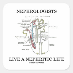 Sticker Carré Les Néphrologistes Vivent Une Vie Néphritique (Nép