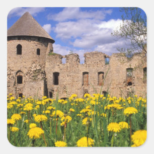 Sticker Carré Les pissenlits entourent le château de Cesis dans
