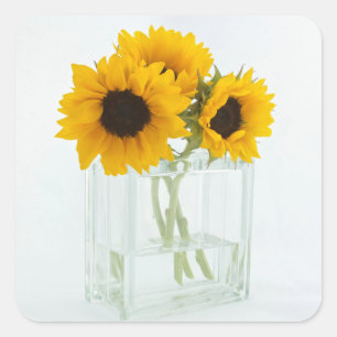 Sticker Carré Les tournesols dans un Vase