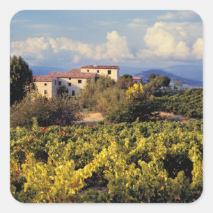 Sticker Carré L'Europe, France, Bonnieux. Les vignobles couvrent