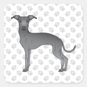 Sticker Carré Lévrier Italien Bleu Chien de Dessin Animé Mignon
