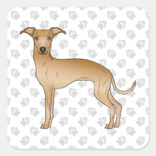 Sticker Carré Lévrier Italien Fauve Dessin Animé de Chien Mignon