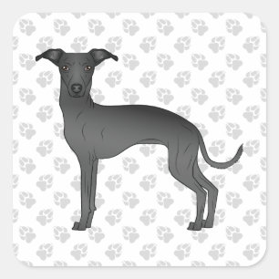 Sticker Carré Lévrier Italien Noir Chien de Dessin Animé Mignon
