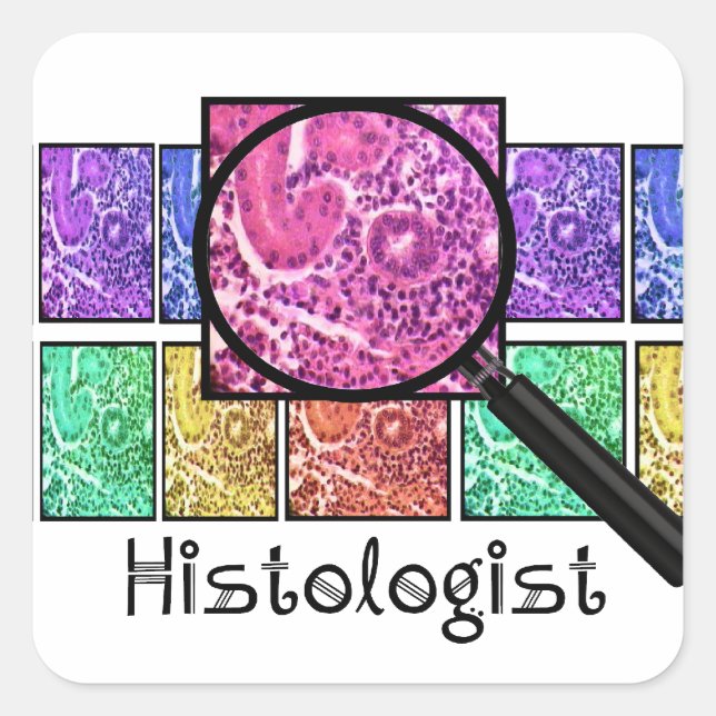 Sticker Carré L'Histologue Dons Des Cellules Magnifiées Concepti (Devant)