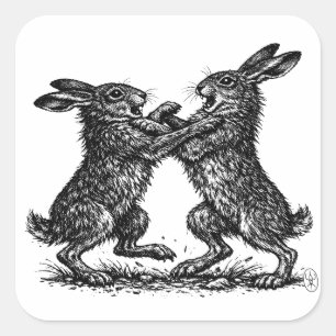 Sticker Carré Lièvres Boxeurs – Duel encre hantée des bois