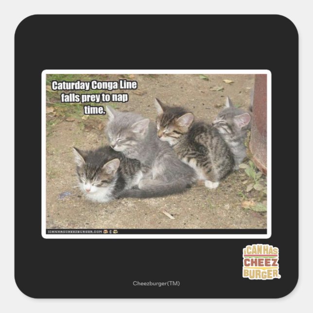 Sticker Carré Ligne de Conga de Caturday (Devant)