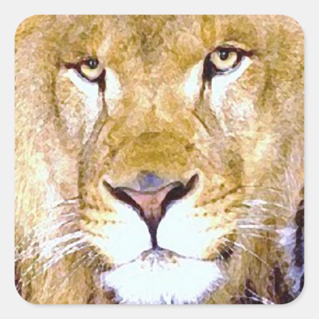 Sticker Carré Lion Eyes (Devant)