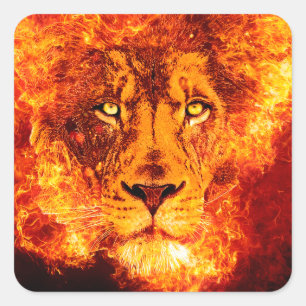 Sticker Carré Lion flamand de Juda