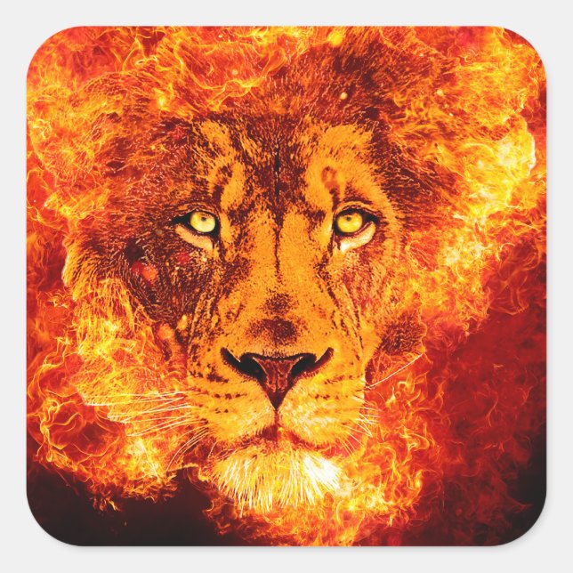 Sticker Carré Lion flamand de Juda (Devant)