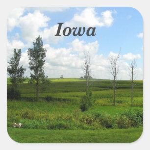 Sticker Carré L'Iowa
