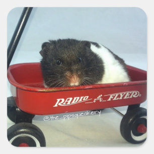Sticker Carré Little Red Wagon