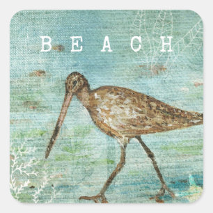 Sticker Carré Littoral de l'Oiseau de rivage