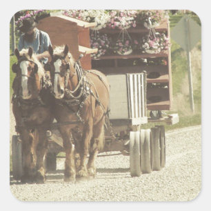 Sticker Carré Livraison de fleurs Amish