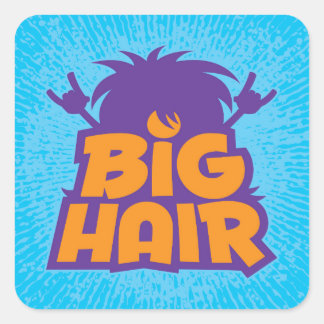 Sticker Carré Logo Big Hair Band