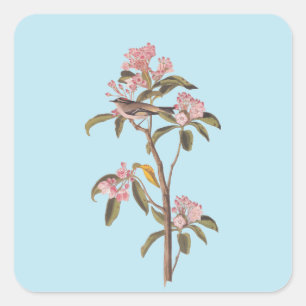 Sticker Carré L'Oiseau de couvier d'Audubon sur Calico Rose