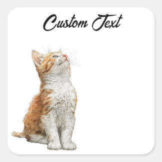 Sticker Carré Looking Up Cat | Personalized Custom Text