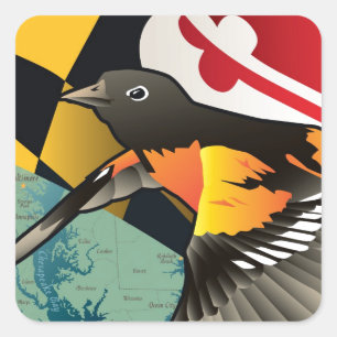 Sticker Carré Loriot de citoyen, oiseau d'état du Maryland