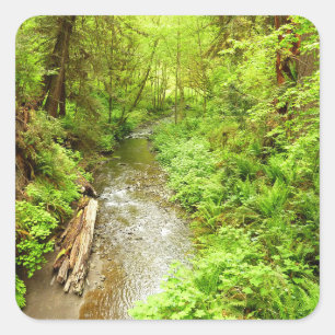 Sticker Carré Lost Man Creek II à Redwood National Park